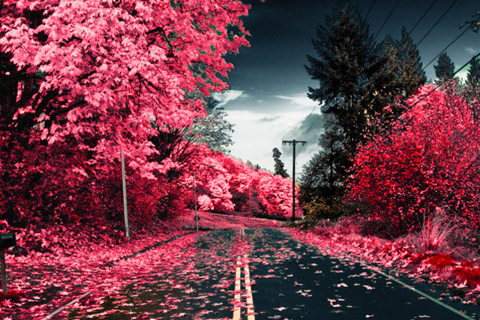 Cute_Way